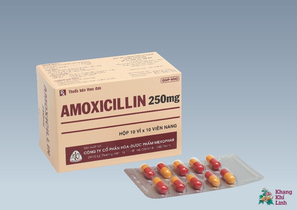 Amoxicillin