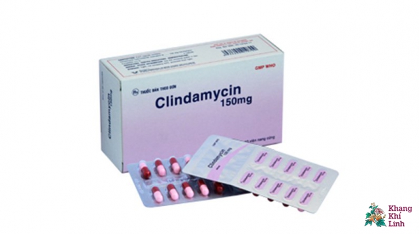 Clindamycin 